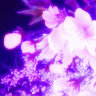 Purple_Flower